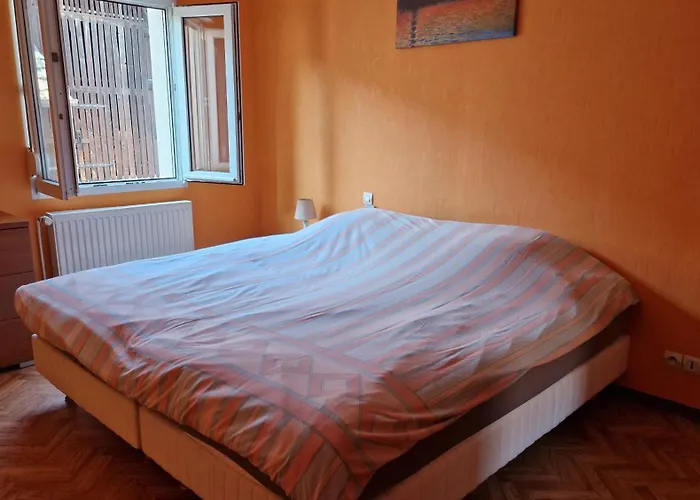 Le Grillenbreit Διαμέρισμα Κολμάρ